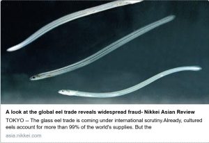 nikkei