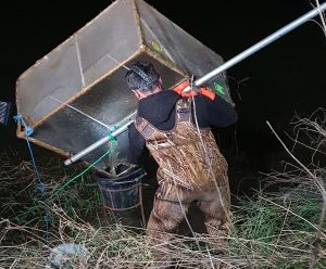 Elver fishing