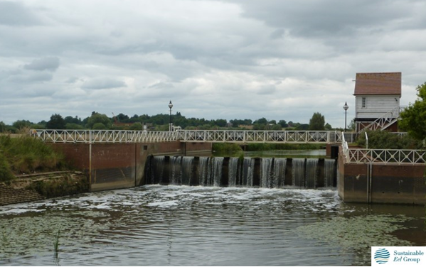 Abbey Mill Weir in Tewkesbury blocks the eel’s and other fishes’ migration upstream to new places to live