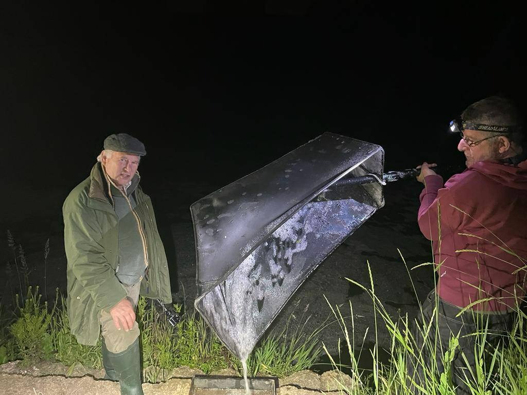 Elver fishing