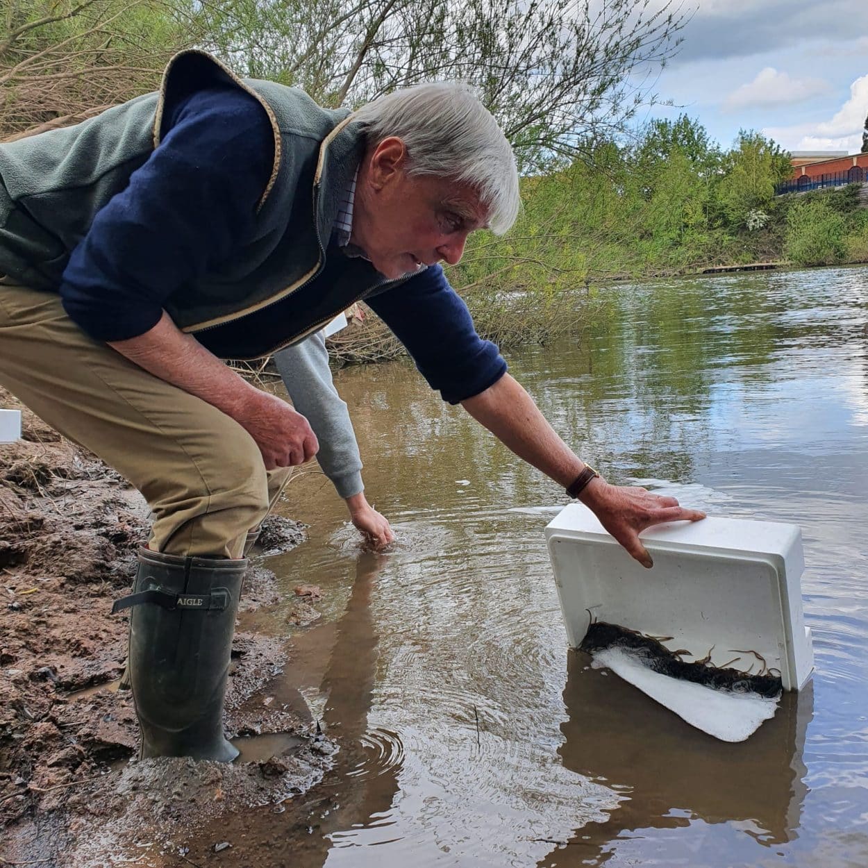 Daniel Raggatt Thousands of eels get a helping hand with their migration on the Severn ...