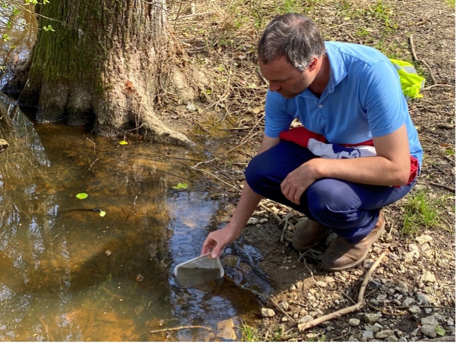Ben Goldsmith releases eels into the beaver wetland