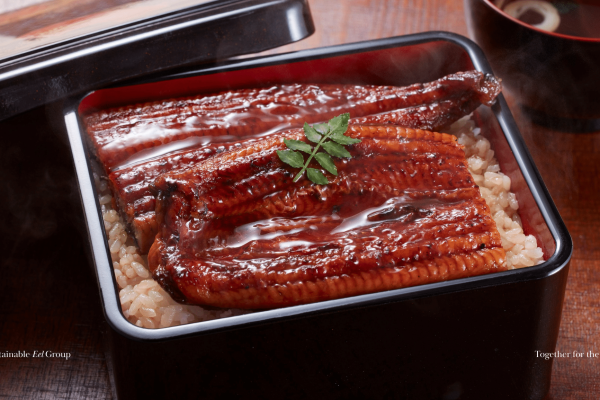 SEG to attend CITES Conference of the Parties in Samarkand, Uzbekistan