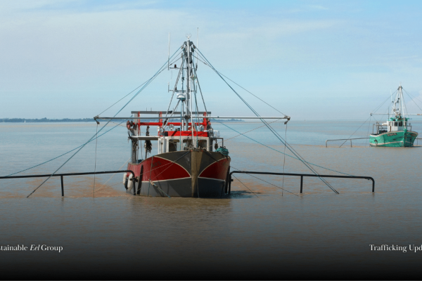 Court judgements in La Roche-sur-Yon with ten convicted