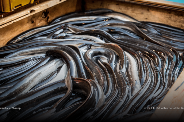 COP20 draws to an end, but the conversation is just beginning