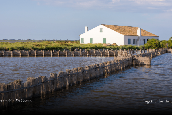 Have your say on the SEG Standard