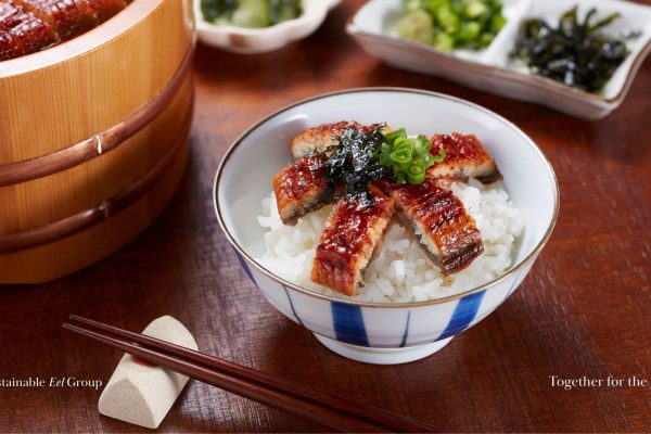 Glass eel prices drop suddenly after record harvest in China