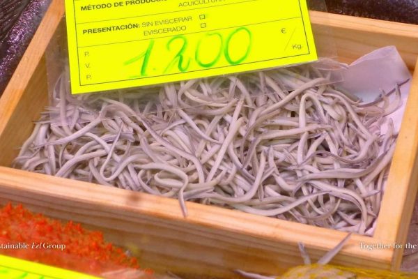 Seventeen sentenced in eel trafficking trial