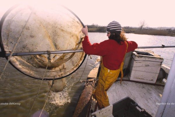 Sustainable Eel Group announces social impact study