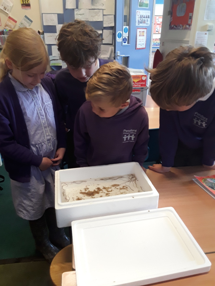 Children observe eels in the classroom before release - credit Bristol Avon Rivers Trust