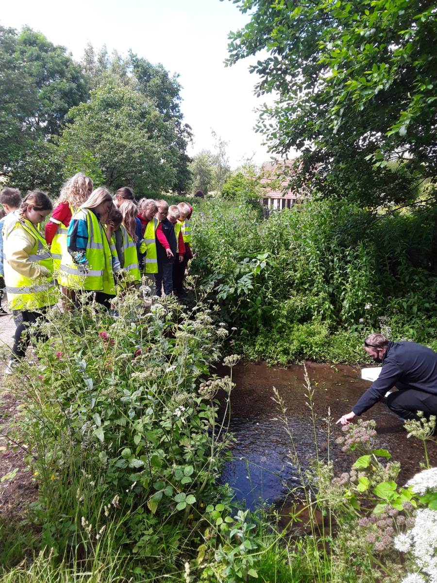 Children watch elver release into The River Chew and the Congresbury Yeo - credit Bristol Avon Rivers Trust