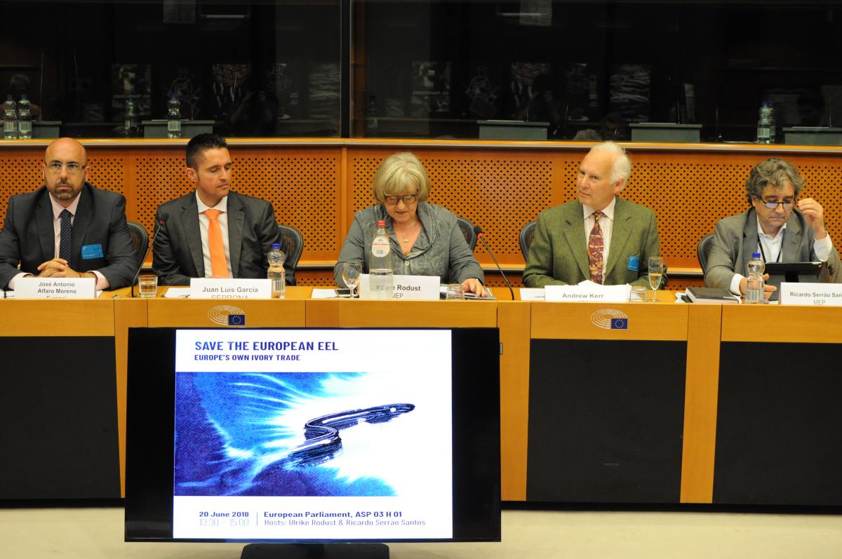 "Save the European eel" - SEG event at the European Parliament, 20 June 2018