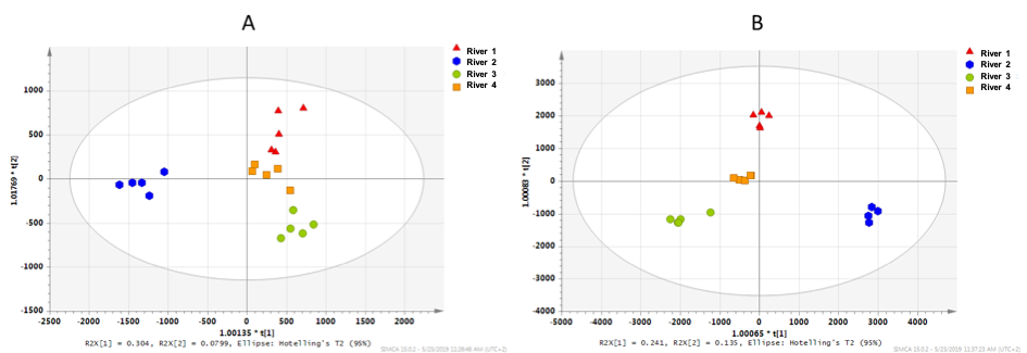 OPLS-DA scores plots showing clustering of glass eels obtained by (A) positive and (B) negative ionization mode (ZITEK 2019)