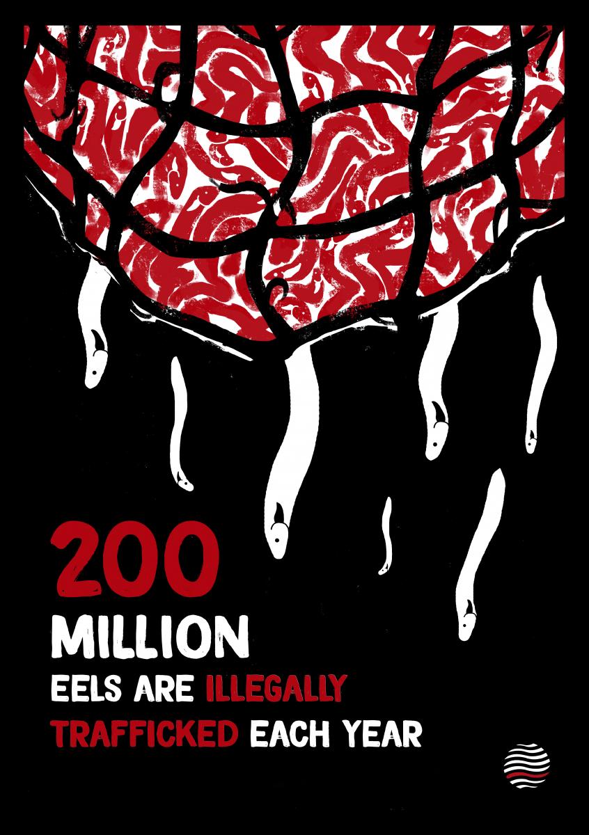 eelposter1 (1)