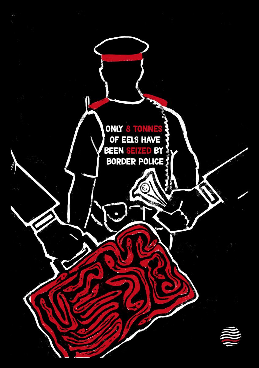 eelposter2 (1)